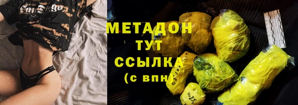 индика Богородицк