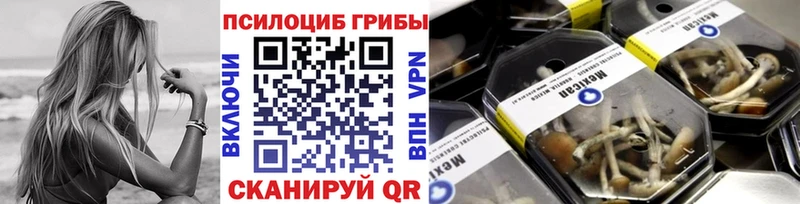 мориарти клад  hydra tor  Туран  Псилоцибиновые грибы Psilocybine cubensis 